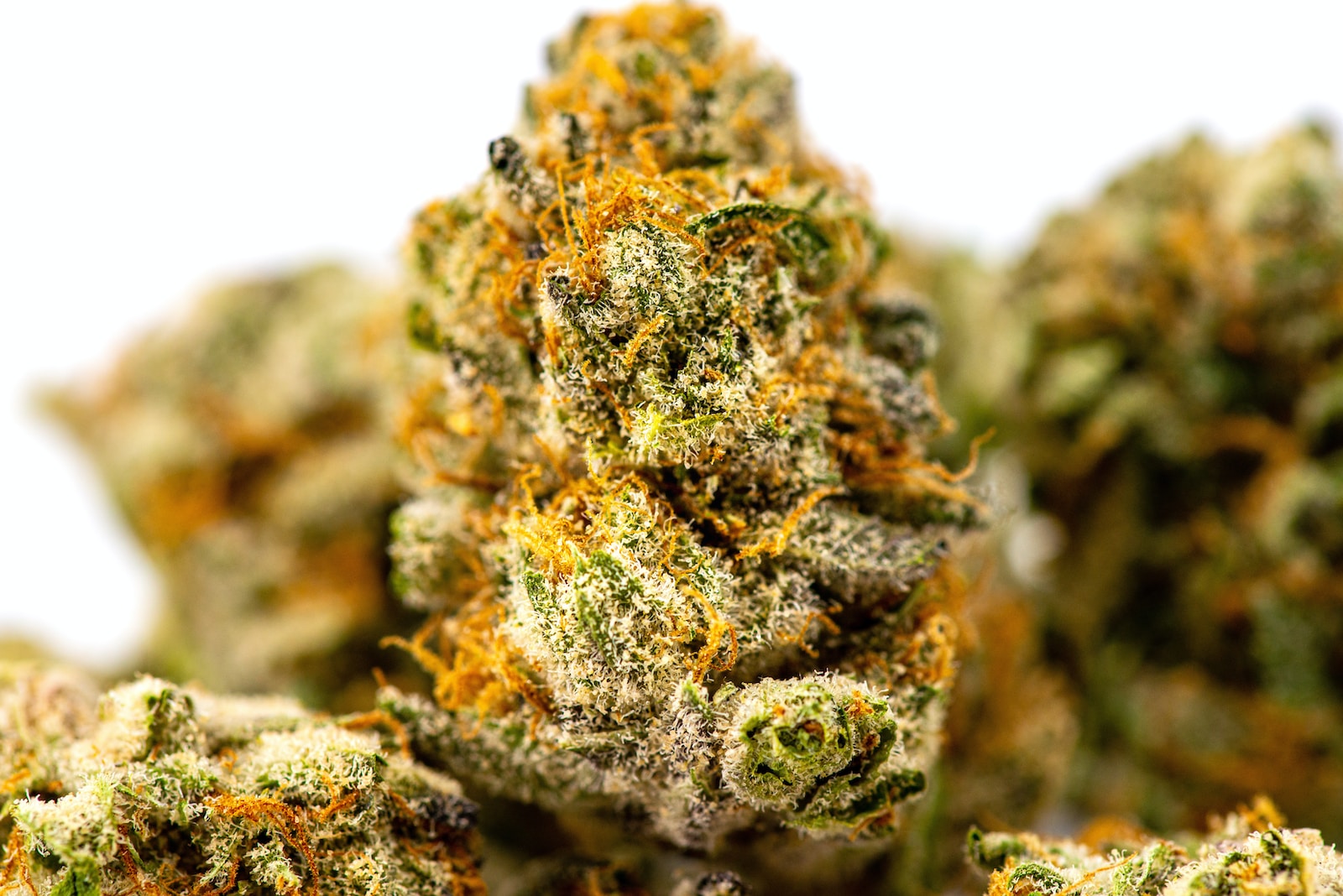 Close-up image of cannabis buds showcasing trichomes and vibrant green and orange hues, highlighting the texture and quality of the marijuana flower. Ideal for cannabis enthusiasts and growers.